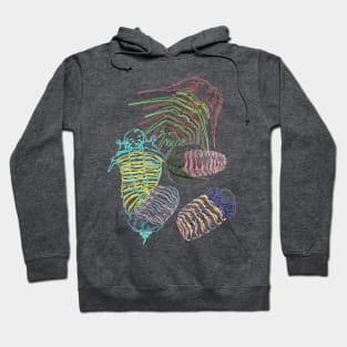 Silurian and Devonian Era Trilobites Hoodie